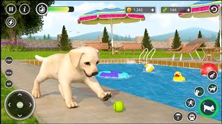 Offline Dog Games. Raise Pets in Pet Simulator 3D. Enjoy Flying Dog Animal Games screenshot 4