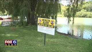 Toxic algae concerns