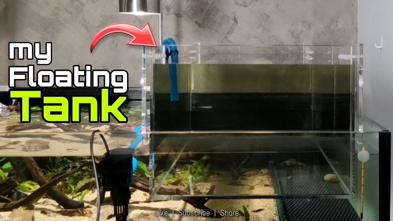 Adding a floating acrylic aquarium to my Stream Tank YouTube