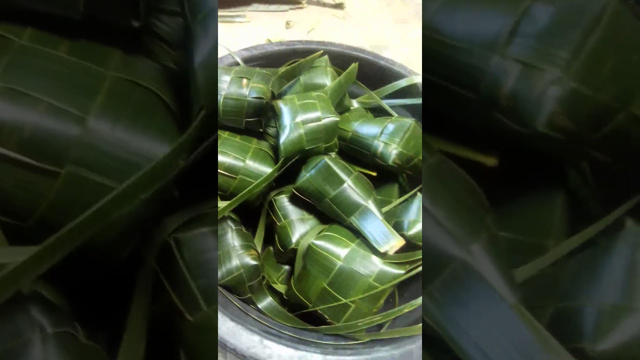 Cara membuat ketupat dari daun kelapa - YouTube