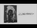 Like A Bird Willow Smith Official Lyrics Willow Album mp3