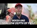 Bokeh and Shallow Depth of Field