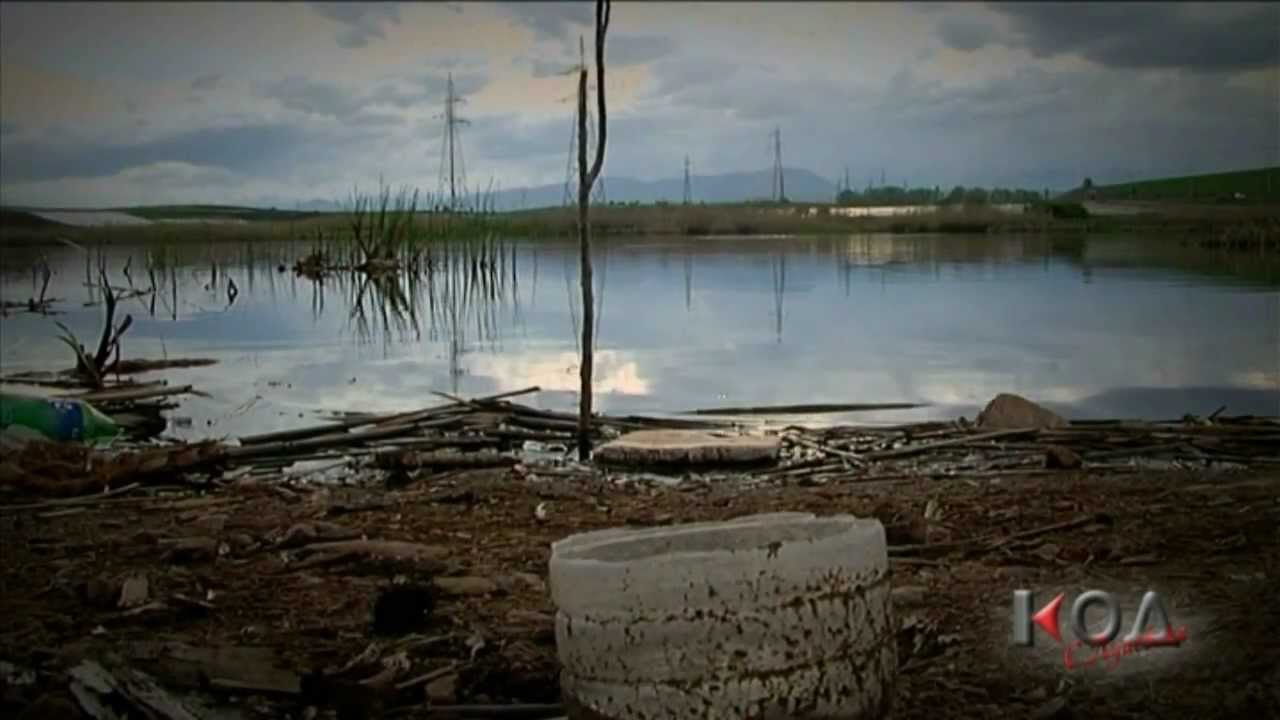 KOD - OBVINENIE SMILKOVSKO  - PRESUDA METASTAZA