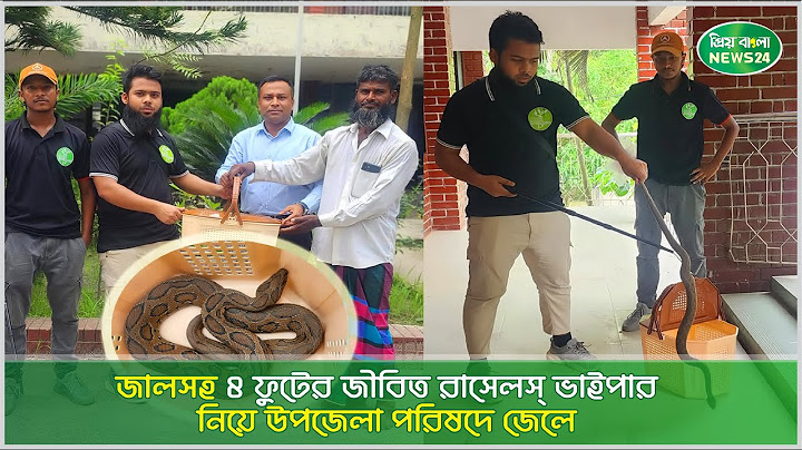 ৪ ফুট লম্বা জ্যান্ত রাসেলস্ ভাইপার নিয়ে উপজেলা পরিষদে জেলে ।। প্রিয়বাংলানিউজ২৪
