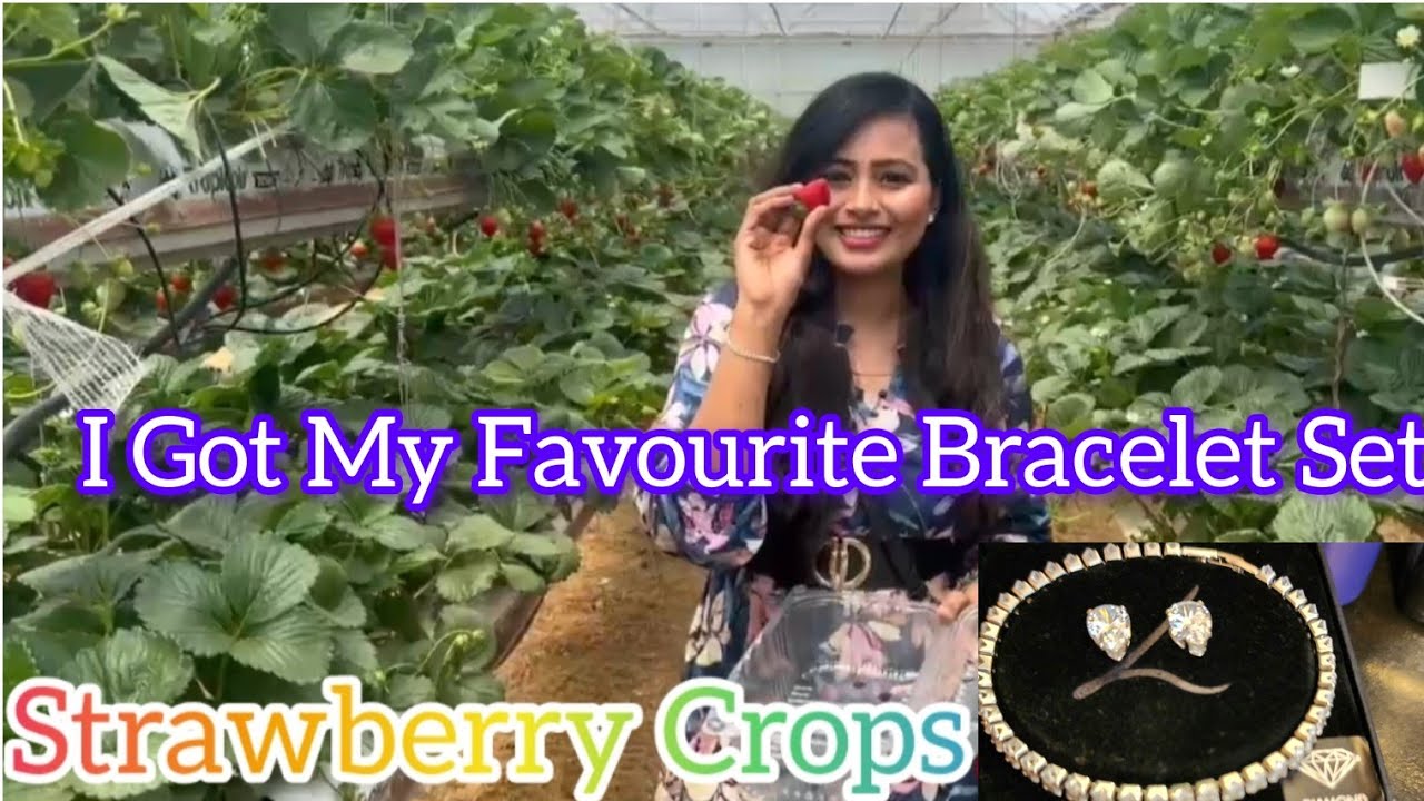 NEW YEAR VLOG 2026 I I GOT MY DREAM BRACELETI TREKKINGI FRUIT PICKINGIBERRIESIAUSTRALIAITELUGUVLOGS