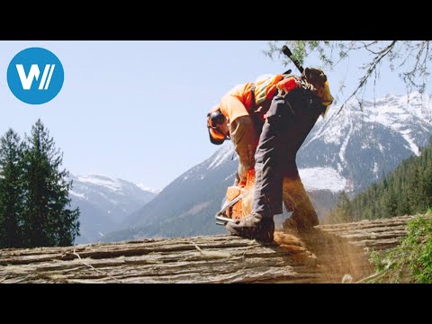 Die Holzfäller von British Columbia (360° - GEO Reportage)
