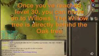 SilabGarza Woodcutting/Firemaking guide.
