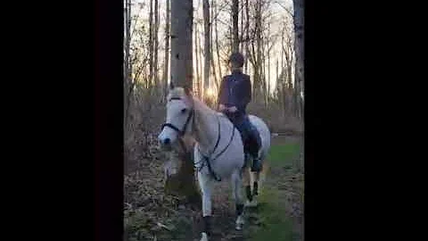 Mattea's Trail Video