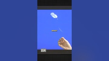 Forrest Gump Feather Effect Explained