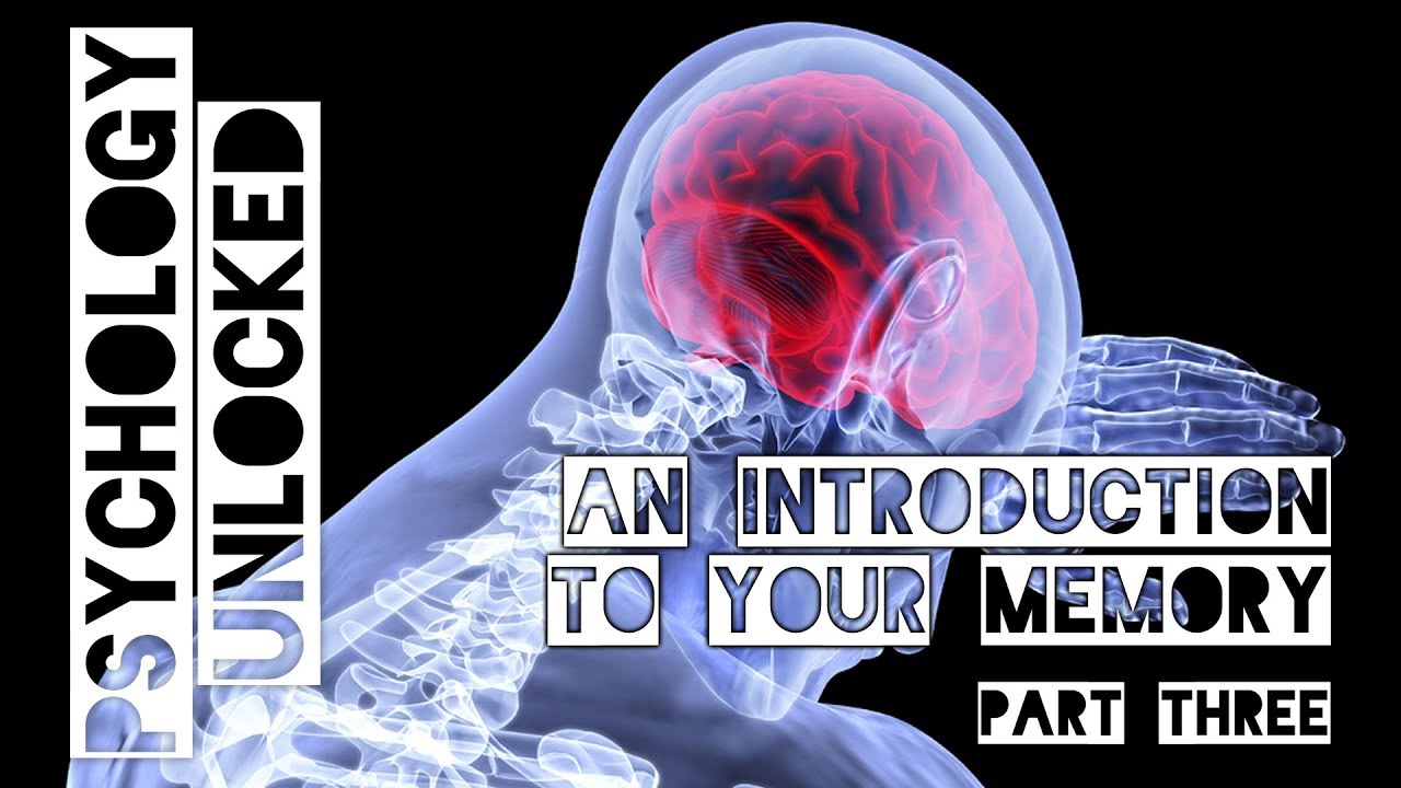An Introduction to your Memory Lecture (Part Three) - YouTube