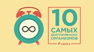 10 самых долгоживущих организмов Земли