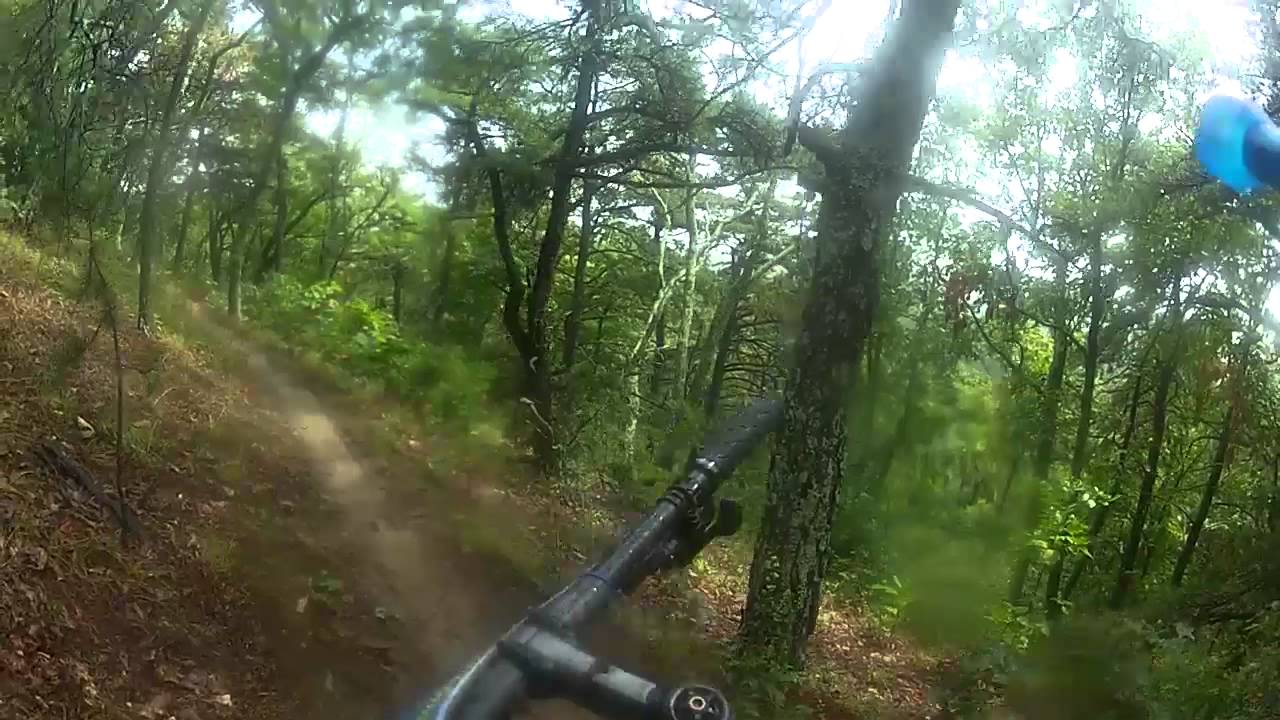 2012 Shenandoah Mountain 100