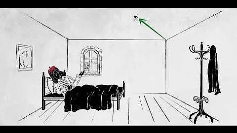 Descartes and the fly