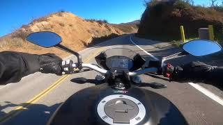 Ducati Monster 821 Stealth - Encinal and Kanan 121519 by Scott Bowman 2,115 views 4 years ago 16 minutes