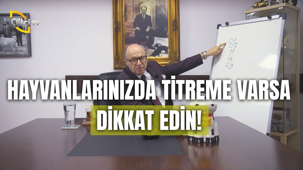 Hayvanlarınızda Titreme Varsa Dikkat Edin! - Dersimiz Hayvancılık