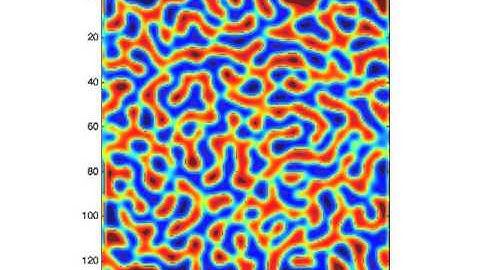 Dynamics of conserved order parameters : Model B
