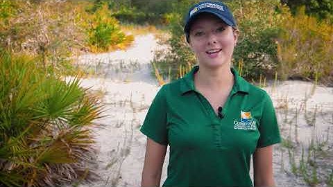 Observe Your World - Episode 1: Population Counts and Habitat Assessments