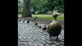 Connor - Odd Duck (official audio)
