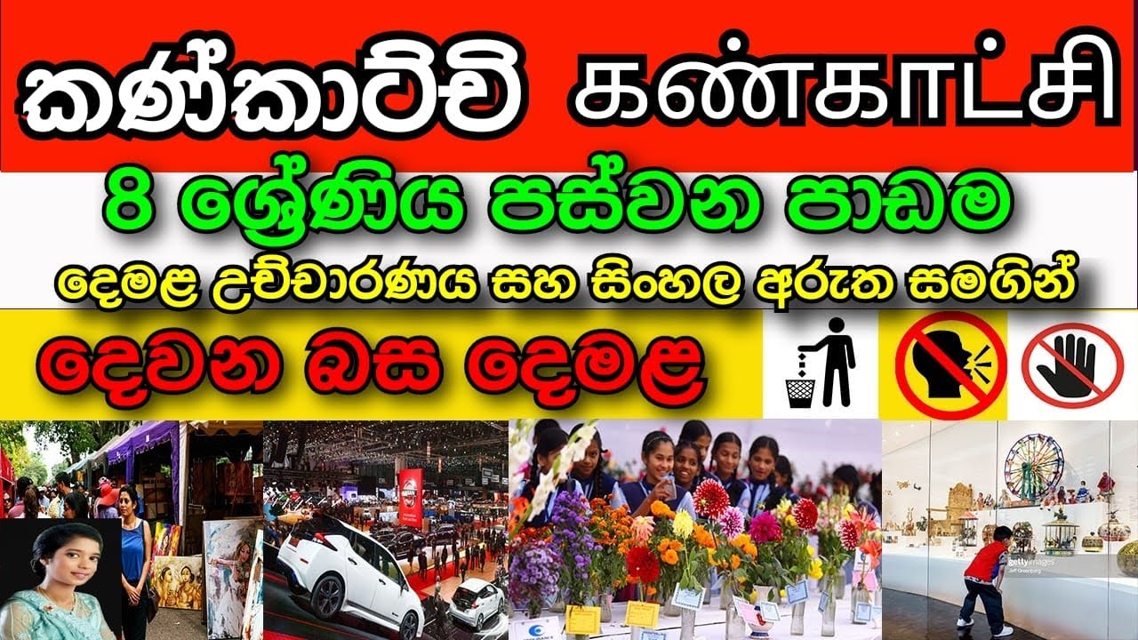 Grade 8 ( Tamil 05 Lesson in Sinhala Media )