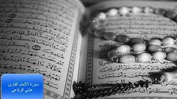 سورة الأنعام القارئ هاني الرفاعي