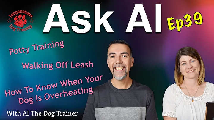 Episode #39 of Ask Al 6/16/19 - Play biting, potty training, walking off leash, Nipping, and More! - DayDayNews