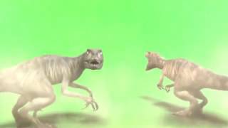 Video Nền Xanh Cho Ghép Kĩ Xảo