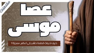 عصا موسى : معجزة هزت عرش فرعون | من كتاب  قصص الحيوان في القرآن | أحمد بهجت