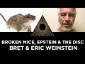 Broken Mice, Epstein & the DISC, Bret & Eric Weinstein