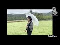 사랑이 비를맞아요 커버곡 유화 국민트로트 사랑이 비를맞아요 커버곡 유화 국민트로트