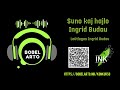 Suno kaj hajlo - Ingrid Budau