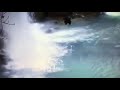 سيف الغافري سورة الفجر 