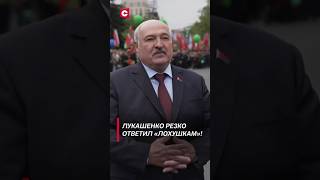 Лукашенко резко ответил «лохушкам»! #shorts #лукашенко #новости #политика #беларусь #9мая