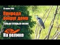 По ближним окрестностям. На велике #1. Новая рубрика