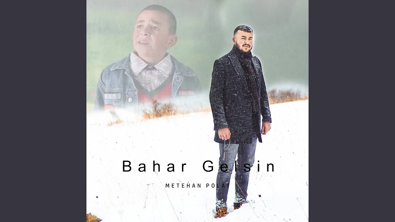 Bahar Gelsin