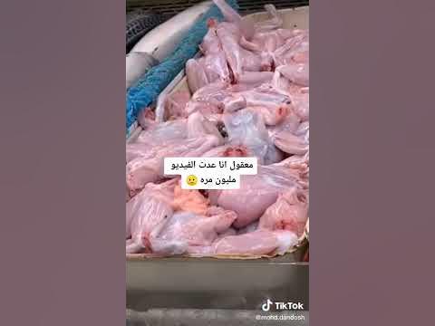دجاجة - YouTube