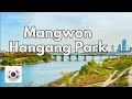 Mangwon Hangang Park, Seoul | Chill Riverside Vibes & Local Life by the Han River 🇰🇷🌊