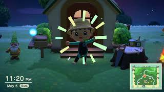 animal crossing hording house p1: its slow burn