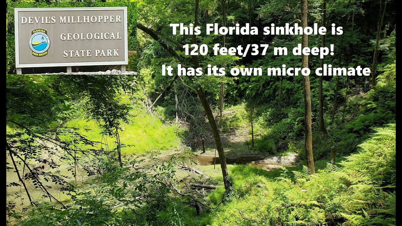 Devil's Millhopper Sinkhole, Gainesville, Florida | Has its own micro climate! 120 feet/37 m deep!