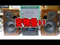 【修理】お宝発見!ハードオフで慌てて購入したスピーカー検証<普通に使える!?