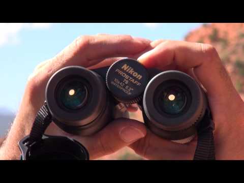 Nikon Prostaff 7S 10x42 Binos Video Review