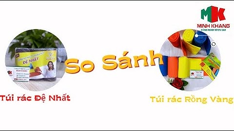 Top 2 Túi Đựng Rác Tự Huỷ | Khám Phá Điểm Giống Và Nhau