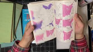 Field guide to the birds lapbook- part 1