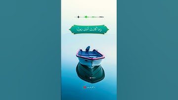 راحة نفسية 💞عبد الباسط عبد الصمد تلاوة خاشعة بصوت جميل جدا حالات واتس اب قرآن كريم ✨️✨️
