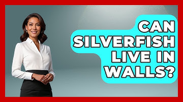 Can Silverfish Live In Walls? - Insects and Invaders