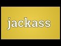 Jackass Meaning