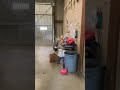 Mechanic to mechanic, have some fun with it!
