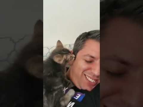 Los plebes parte 3: explorando la casa