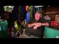 The last of Wales' pigeon fanciers