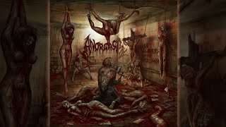 Anorgasm - Mass Murder for Intercourse full album