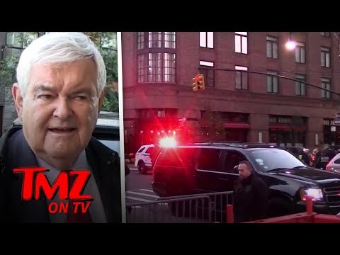 Newt Ginrich Says Trump Haters Deserve Bombs | TMZ TV